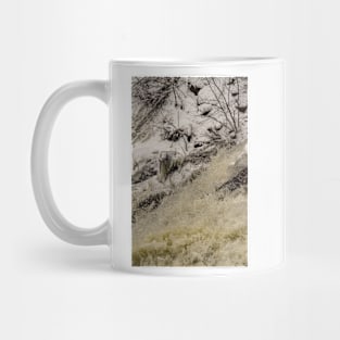 Dancing Water, Smokey Hollow Falls Mug